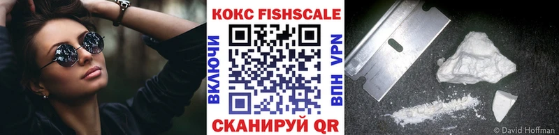 хочу наркоту  Анжеро-Судженск  COCAIN Fish Scale 