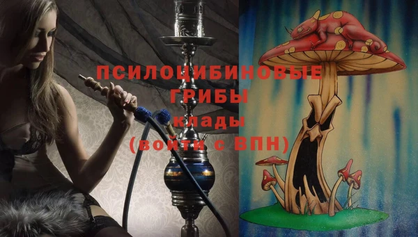 Альфа ПВП Алзамай