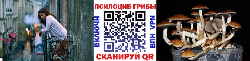 цена наркотик  гидра рабочий сайт  Псилоцибиновые грибы Cubensis  Анжеро-Судженск 