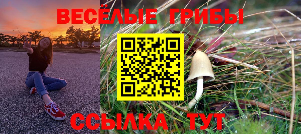Галлюциногенные грибы Cubensis Анжеро-Судженск