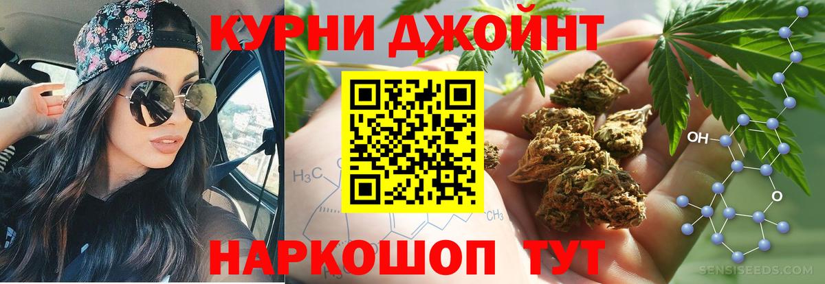 Бошки Шишки сатива  Каннабис план  Конопля тримм  Вход с VPN  Анжеро-Судженск 